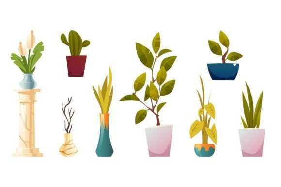 Download Potted Houseplants and Flowers - Plant Collection