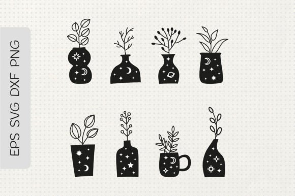 Download House Plants in Pots and Vases - Plant Collection