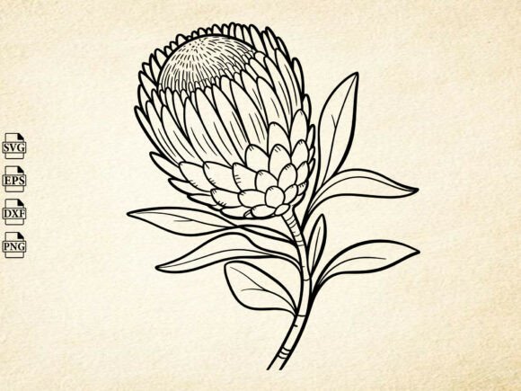 Download Protea Flower SVG,Protea Flower Cut File - Flower cut file Collection