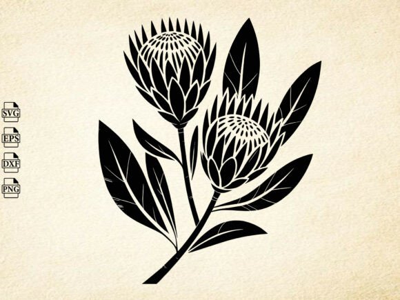 Download Protea Flower SVG,Protea Flower Cut File - Flower cut file Collection